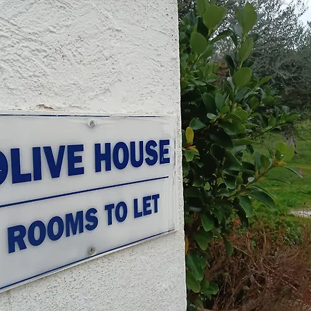 Olive House *